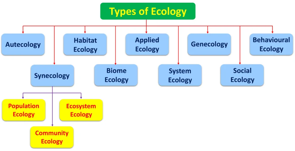 Types of Ecology